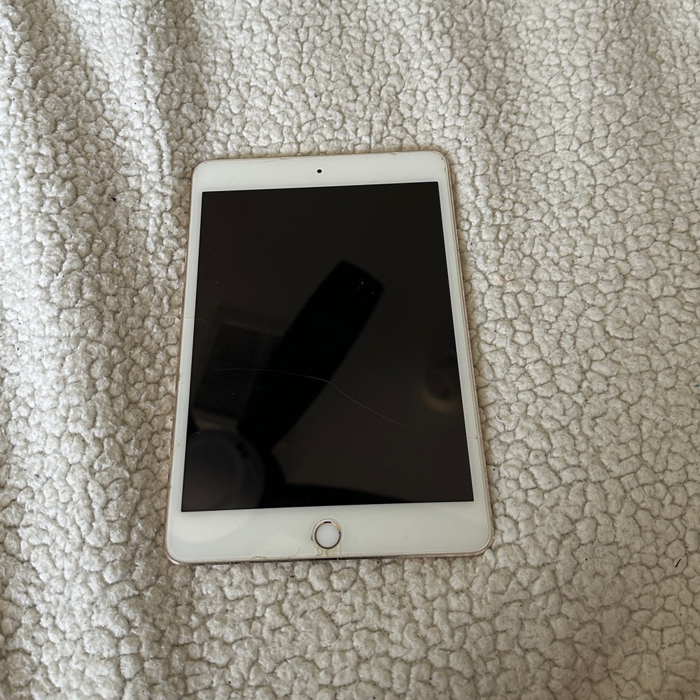 ipad mini series 4
